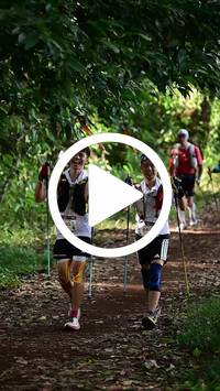 BIB:  <button type="button" onclick="openModal(27528831)" class="btn btn-primary btn-sm float-right" data-toggle="modal" data-target=".modal-high-quality">
                <i class="fa fa-download"></i> Download
                </button>